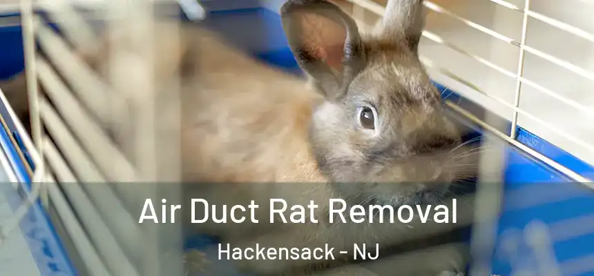  Air Duct Rat Removal Hackensack - NJ