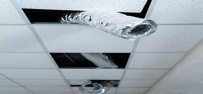 Affordable HVAC Sanitizing After Pest Removal in Hackensack