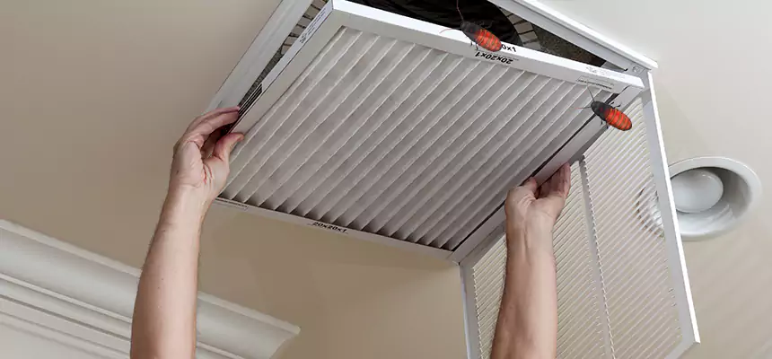 Our Insect Removal from Air Ducts Services in Hackensack, NJ