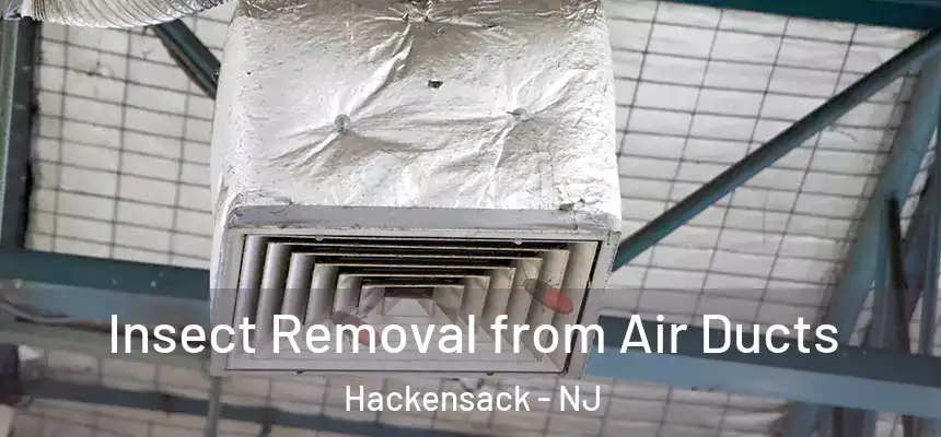  Insect Removal from Air Ducts Hackensack - NJ