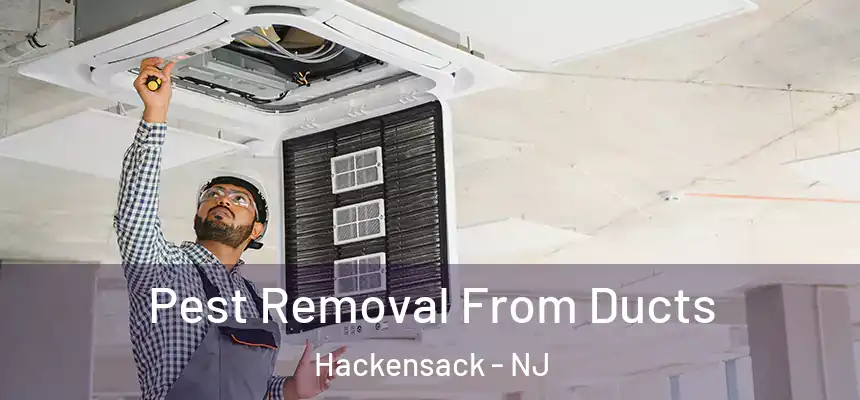  Pest Removal From Ducts Hackensack - NJ