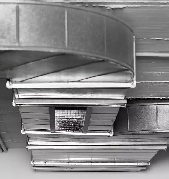 Professional Air Duct Pest Removal in Hackensack, NJ