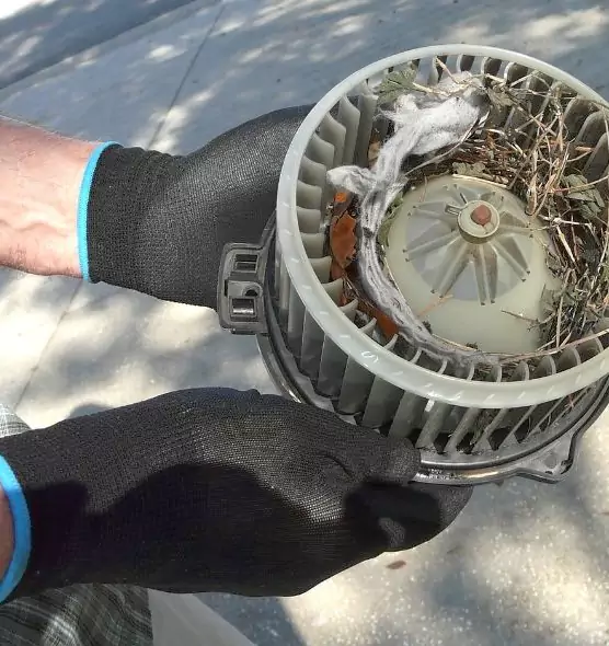 About Air Duct Rat Removal in Hackensack, NJ