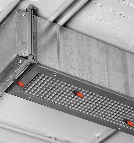 Affordable Insect Removal from Air Ducts in Hackensack, NJ