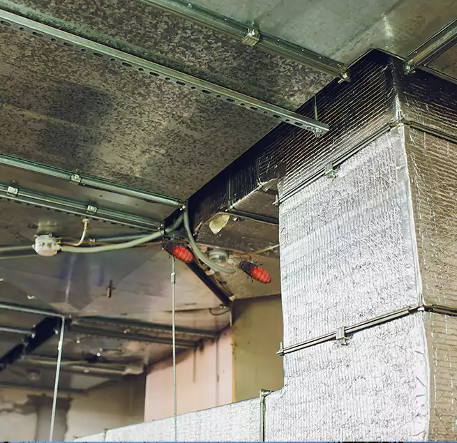 Why Homeowners & Businesses Trust Us in Hackensack, NJ?