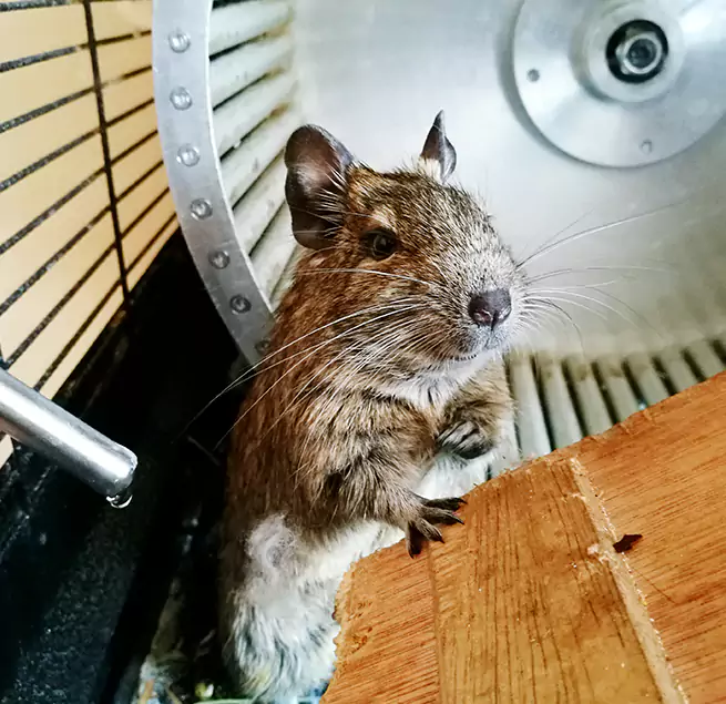 Why Homeowners & Businesses Trust Us Hackensack, NJ?