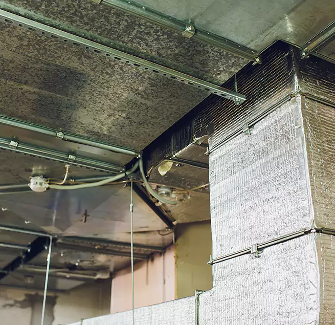 Why Homeowners & Businesses Trust Us in Hackensack, NJ?